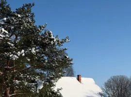 Viesu māja Rāzna - Pirts