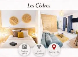 Les Cèdres - grand studio - neuf