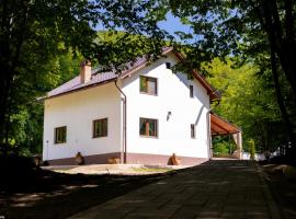 Cabana lui Matei, מלון בBorlova