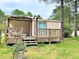 Mobil-home confortable avec terrasse pour 4 pers. - API-1-52-1661