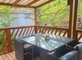 Mobil-home 4 pers avec terrasse - API-1-52-1663