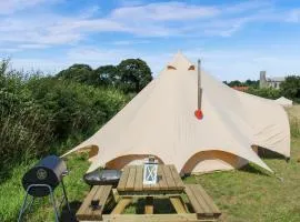 Cornflower - Uk51171