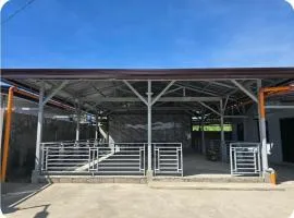 Vibe Home & Function Hall