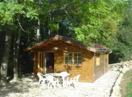 GITE LES SOURCES PETIT CHALET 2P et BB