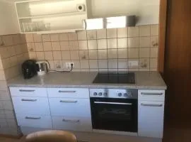 Zentrale Wohnung Schruns