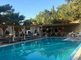 Casa Trees Hotel