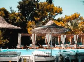 Casa Trees Boutique Hotel