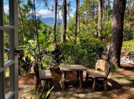 Forest lodge - Forest View Rooms, Hotel in Sagada