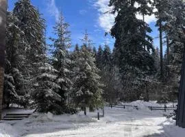 Lyra Forest Apartment