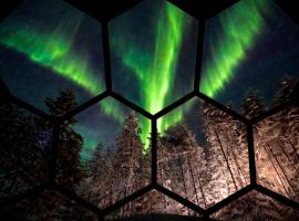 SKOG - Aurora Igloos Resort، فندق في كاليكس