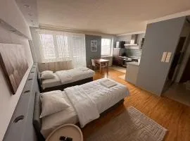 Komfortowe mieszkanie dla 4 osób