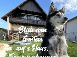 JOY Ferienwohnung mit Hund Edermünde