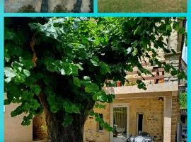 Gîte 2 "Le Tilia " aux magnolias 3 étoiles