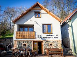 Sklípek U píchlé galusky, hotel v destinácii Strachotín