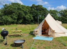 Bluebell - Uk51167