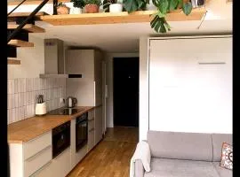 Vilnius Cozy Loft