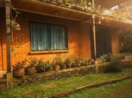 Cabaña Nido de Bromelias en Pance