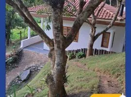 Orobó Kaá - entre a floresta e a vida no campo