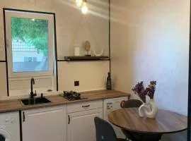 Затишні 1 кімнатні апартаменти в центрі міста