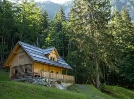 Alpine Loghouse Planšarska bajta Matkov Kot
