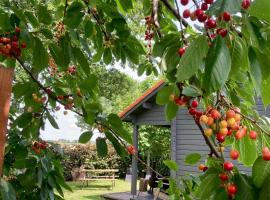 Landelijk gelegen houten huisje, Hotel in Opperdoes