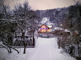Cabana aproape de Straja, Hotel in Merişor
