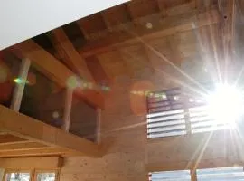 LA PLAGNE MONTALBERT Chalet - fitness - wifi