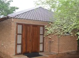 Elephant Arcade Yala