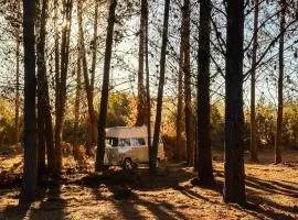 Romantic Vintage VW Kombi Glamping Puertecillo