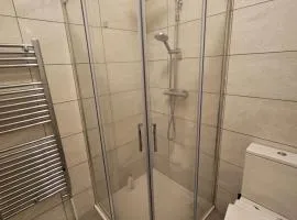 Mini studio apartment