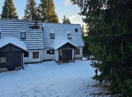 Cosy Rogla appartment 108、ズレチェのホテル