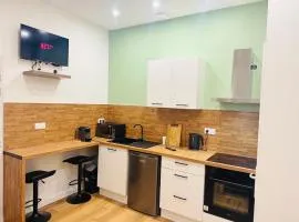 Studio tout équipé - Idéal pro et loisirs