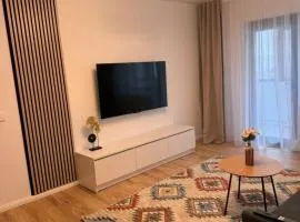 Superior Aparthotel in Targu Ocna