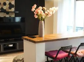 APPARTEMENT CHEZ TRICIA