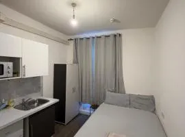 Studio Flat Near Westfield London