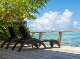 Villa Miti Vai - 3 BR 3 Bath Beachfront Villa