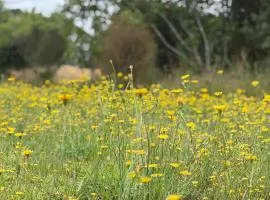 Tranquil Sleep-out with Ensuite in City Fringe