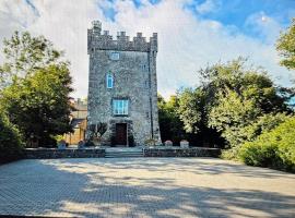 로스코먼에 위치한 호텔 Moyvannan Castle on 7 Acres