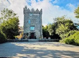 Moyvannan Castle on 7 Acres
