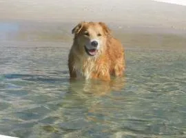 Galoola Hidden Gem, 2-97 Galoola Drive, Rooftop outdoor area with spectacular views, Wi-Fi, Air Conditioning, Pet Friendly