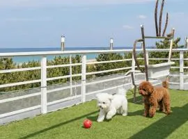 Yangyang Bono Pet-friendly Pension