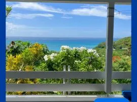 Paradise View at Halcyon Heights l Stunning Ocean View 1BR l 10 minute walk to the Beach