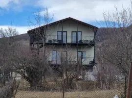 საოჯახო სასტუმრო