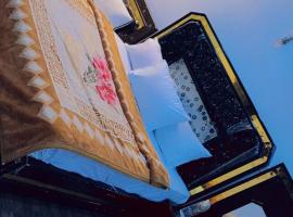 Helton Guest House, hotel i Peshawar