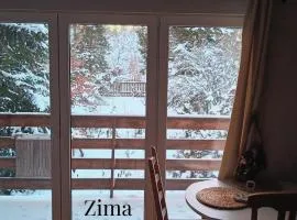 Widny Jaś zaprasza z psem nad jezioro na Kaszubach