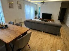 Aix les Bains Bel appartement 3 pièces proche du lac parking privé