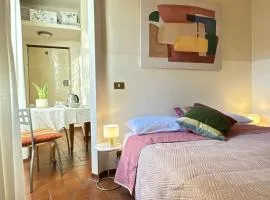 Luminoso e Confortevole Appartamento Lucca centro