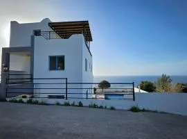 Livia - Vikles Villa 1