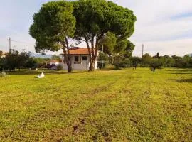 Villa Penelia next to golf courses