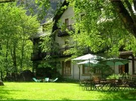 Chalet Hotel d Ailefroide